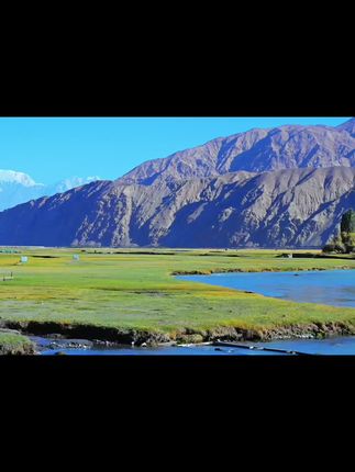 新疆喀什塔什库尔干塔吉克帕米尔金草滩…