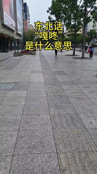 第99集|东北话“嘎咚”是什么意思 #真实生活分享计划 #东北话 #方言 #知识分享 #随拍记录生活