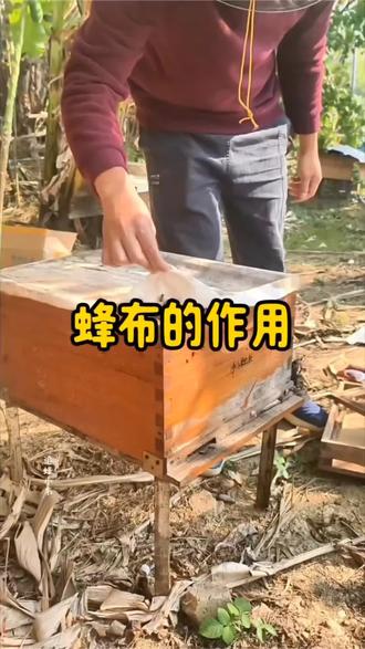 原来蜂布有这么大作用,怪不得养蜂人离不开它 #蜂布 #养蜂覆布