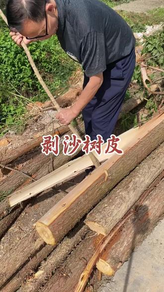 剥了树皮晒干了再扛回家#三农