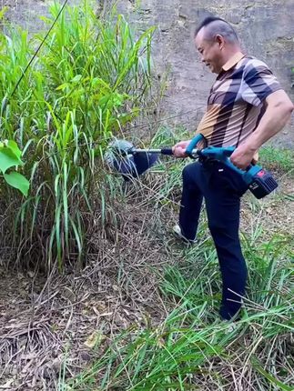【电动割草机小型家用除草机锂电充电式打草机农用大功率除锄草神器】#电动割草机#五金工具 #高性能实用工具 #田园工具#电动工具