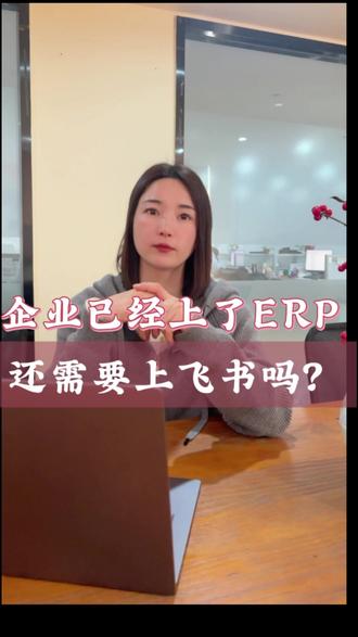 企业内部已经上了ERP,还有必要上飞书吗?#飞书 #飞书项目 #飞书多维表格 #飞书妙记