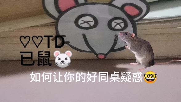 哈哈哈,嗯,对,,,怎么说呢?已困鼠🐭