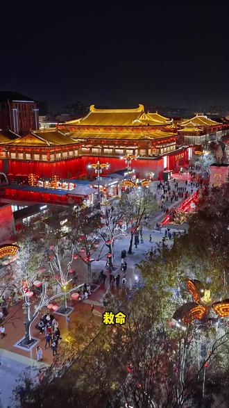 劲酒养生乐园藏满惊喜,一步一景皆年味,随手拍都是氛围感大片#健康中国年劲酒贺团圆 #马上出发玩尽兴 #养生时代福你上马