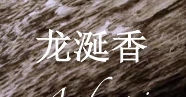 🌿龙涎香:千金不换的【海上黄金】 古人称它“龙涎”
其实是抹香鲸的珍贵分泌物在海上历经几十年漂流氧化从腥臭到温润醇香
是大海与时光共同造就的奇迹
每一块纹路都是独一无二的海之诗
#中医药典故 #听故事学中药文化 #本草小故事 #经典典故新解 #龙涎香