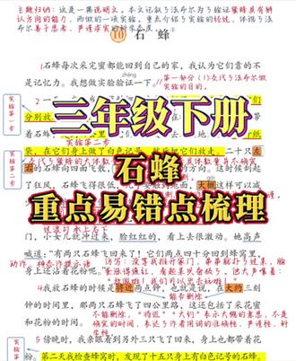 ✅语文书里的考点都藏在哪 三年级下册第十课《石蜂》,重点易错点梳理#三年级语文 #知识点总结 #课堂笔记 #学霸秘籍