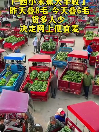 #小米蕉 #优质农产品 #新鲜采摘 #源头好货 #抖音助农