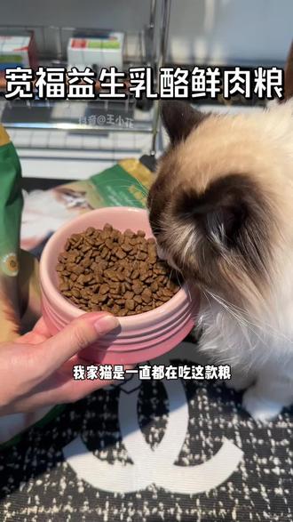 大品牌宽福猫粮都买一送一了,你不会还不知道吧!!#猫粮 #宽福猫粮 #宽福 #科学养宠攻略 #养猫经验分享