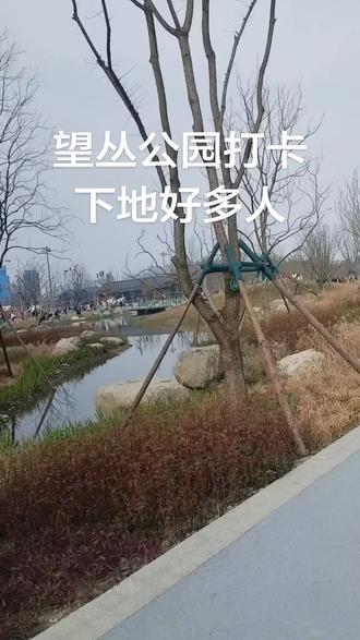 郫都区望丛公园开园了,美景等你来欣赏,记录家乡美景