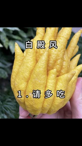 白殿风其实很简单#白斑结束了#分享