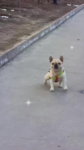 快乐的可乐,🎈🎈🎈🎈🎈🎈