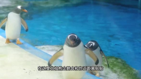 徐州欧乐堡|带娃闯入蓝色童话王国 谁懂啊!带娃打卡徐州欧乐堡,直接实现海洋+童话双自由✨#周末去哪儿 #欧乐堡海洋世界 #亲子旅游好去处 #周边度假