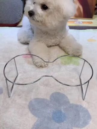 宠物不锈钢碗#宠物猫 #宠物狗狗 #萌宠动物 #萌宠#科学养宠