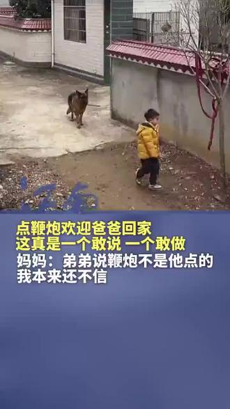 现在狗子都进化到会放鞭炮🧨了,可政府现在不给放啦!