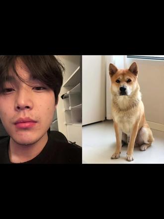 豆包权威威武霸气!!!和狗狗拥抱ai教程来了#豆包ai #豆包p图已经nextlevel了 #豆包p图指令 #豆包 #宠物