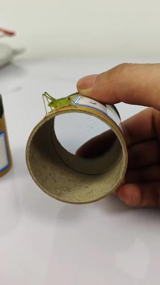 蝈蝈的娃娃籽,#蝈蝈