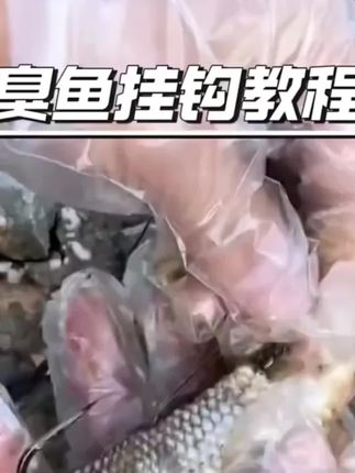 臭鱼钓鲶鱼刀锋丸世子线组手工精绑钩尖锋利拉力强劲大物子线组#臭鱼挂钩#大物子线组#挂钩