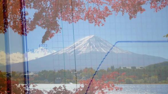 日本股市怎么了 #日本股票市场 #日经 #日本政治