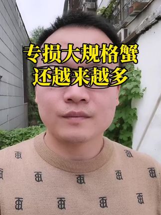 损蟹 #螃蟹养殖 #大闸蟹养殖 #河蟹养殖 #损蟹正确处理方法 #蟹黄宝