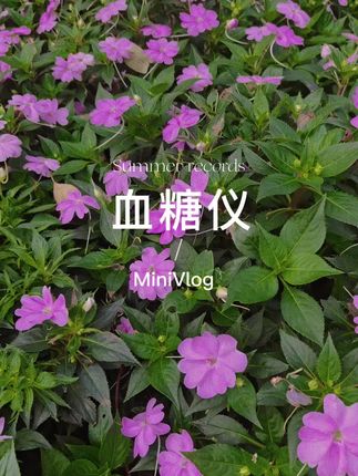 夸孩子也是一门学问要用对方式,不然只能适得其反。#亲子教育 #育儿 #家庭教育 #父母课堂 #干货分享