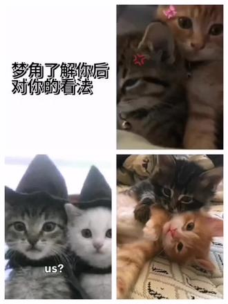 梦角觉得你和之前相比怎么样了呢 更多主题→
#梦角 #梦女 #乙游 #乙女 #梦角来信