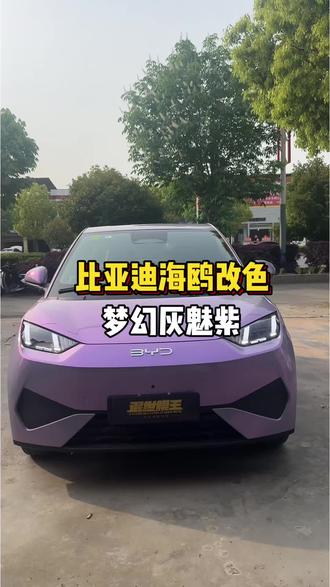 #比亚迪海鸥 换上梦幻灰和魅紫后,看起来特别神秘又优雅#改色#改色案例分享#专业汽车贴膜#邓州