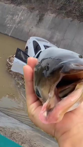 遇到这些奇奇怪怪的鱼还能吃吗?#钓鱼 #鱼 #涨知识