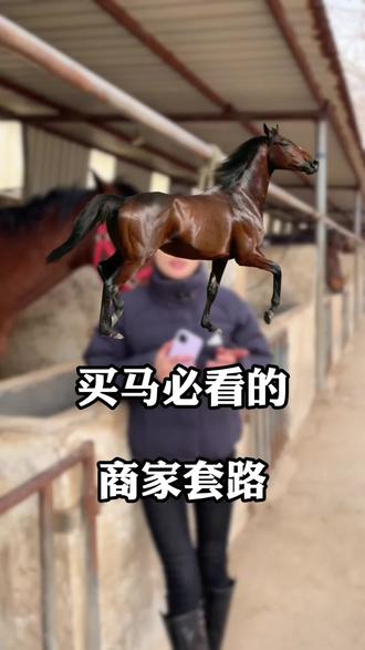 买马必看的商家套路#行业大揭秘 #养马场 #骑乘马