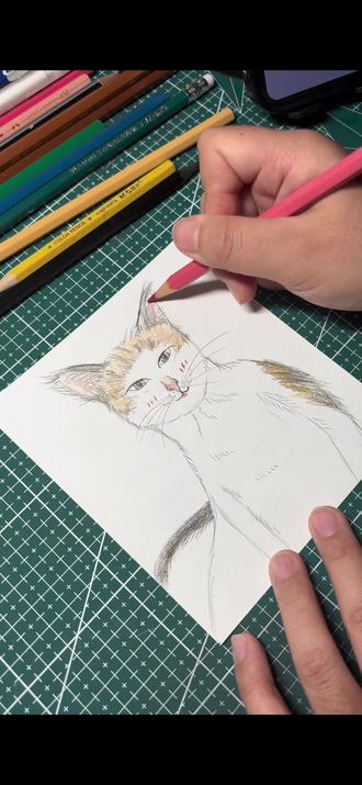 →挑战画100只小猫咪
→第10只
#微笑猫#搞笑猫咪#猫咪绘画#画猫