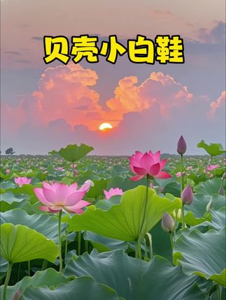 被问爆的Q版贝壳鞋!巨可爱巨百搭!魔术贴一脚蹬方便穿脱,主要它隐形增高,到底是谁不想变高点啊!#鞋子 #增高鞋 #贝壳鞋 #太好看了 @DOU+小助手 #学生党好物推荐
