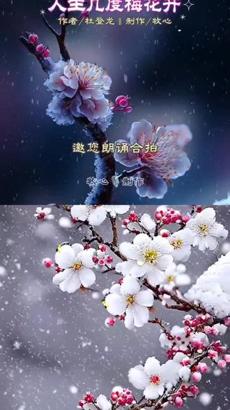和 @牧心🎙 一起 #合拍 #梅花 #用心为你读首诗 #朗诵合拍 #坚持热爱 @抖音小助手 @@上热门🔥🔥🔥 @抖音创作灵感