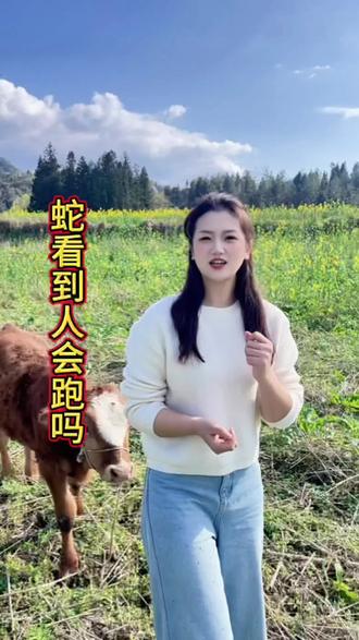 在野外看到蛇了你们会不会跑呢?#蛇类科普 #知识分享 #五步蛇 #眼镜蛇 #毒蛇