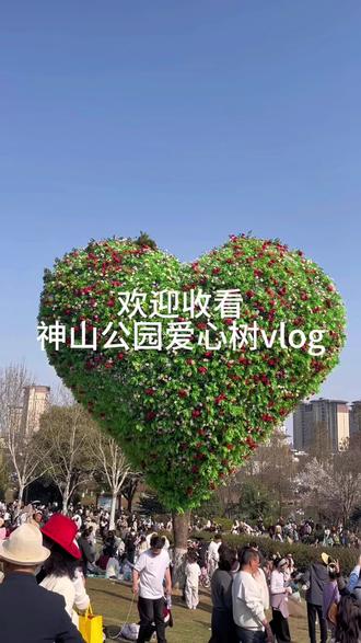 十万人来看芜湖神山公园的爱心树啦……#日常vlog #人山人海太热闹了 #镜头里的春日美景 #春天你好 #记录美好生活
