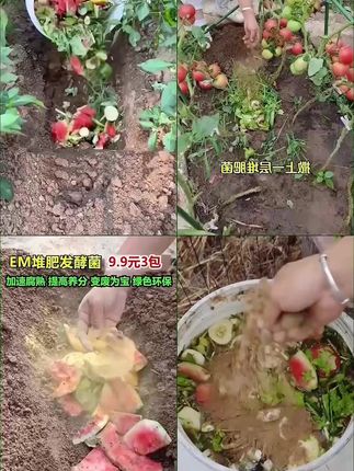 堆肥菌菌种发酵菌糠厨余堆肥桶垃圾沤肥箱EM菌发酵剂菌粉高浓度