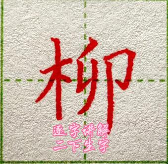 姓“柳”的小朋友们,你们学会了没#热门 #练字 #寒假班#预习生字 #二年级下册生字#书写