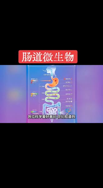 家畜(猪/牛/羊)肠道微生物地图与人类相似,但瘤胃微生物(反刍动物特有) 是独立的厌氧生态系统,以纤维分解菌(产琥珀酸丝状杆菌)、产甲烷古菌、真菌为主,负责粗纤维发酵;猪结肠菌群密度可达10¹¹ CFU/g,厚壁菌门占比高于拟杆菌门,与饲料转化率密切相关。