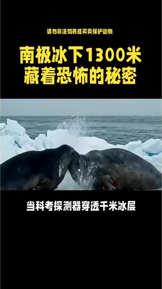 南极冰下1300米藏着恐怖的秘密@DOU+小助手