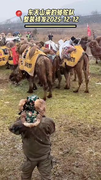 东天山来的骆驼队
重走丝绸之路文化行
2025年12月12日,出行第113天,即将从陕西咸阳彬州市大佛寺石窟,出发前行,今日下雪天气,安全第一,一路平安。
#东天山来的骆驼队 #丝绸之路 #彬州市 #凉州词 #西安 @蒋晓亮(东天山骆驼队队长) (视频素材来自网络)