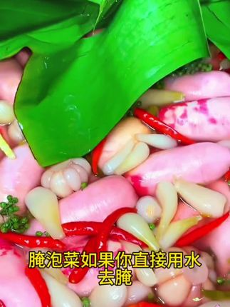 #泡菜如何腌制 #泡菜发酵菌 #泡菜菌粉