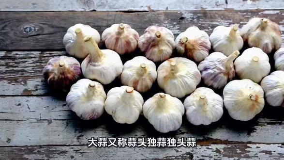大蒜天天见,今天才知道它有这么多好处