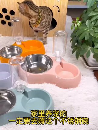 #萌宠推荐官 #好物推荐🔥 #宠物猫 #猫咪证件照 #猫咪证件照