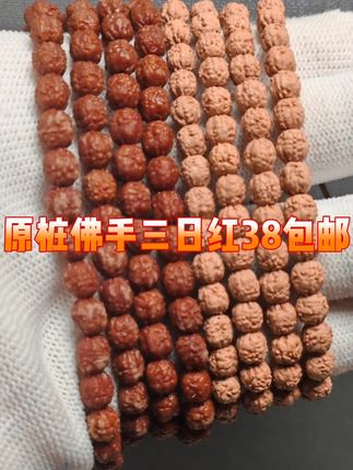 佛手小金刚38包邮#佛手小金刚 #佛手小金刚三日红 #金刚菩提