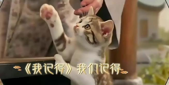 #赵朔西行漫记 悟空我们都记得