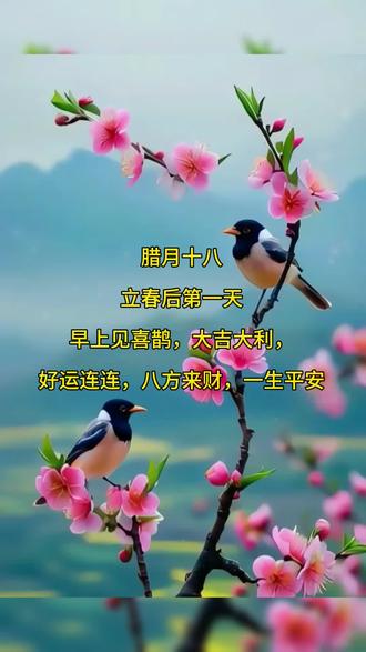 早上见喜鹊,八方来财大吉大利