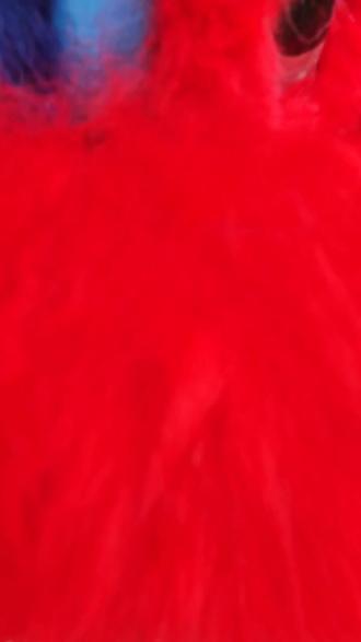 红蓝绿拼好狮🦁#醒狮#醒狮文化