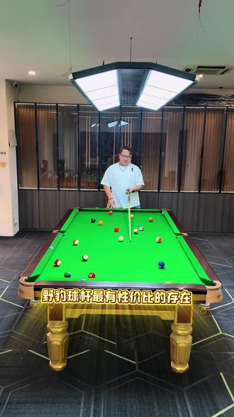 野豹最有性价比的球杆#台球杆 #台球器材 #台球杆推荐