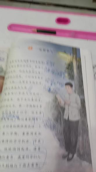 三年级上册第24课一定要争气。