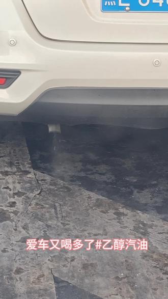 大庆小伙伴的车终于可以吃上细粮了,黑龙江2026年恢复 纯汽油试点,首批城市:哈尔滨大庆齐齐哈尔#乙醇汽油#黑龙江