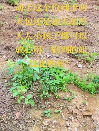 姐妹们赶紧薅羊毛这个#芈奈儿洗脸巾#家庭必备#自用款推荐#好物分享#用一次就爱上