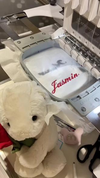 刻上我的名字那刻起,就是全球唯一#jellycat #刺绣 #刺绣diy #萌物 #可爱到爆炸💥